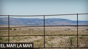 AFIDOCS___Features_1