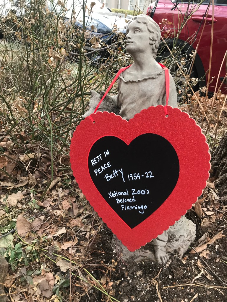 statute of St Francis of Assisi, patron saint of animals with a memorial message for Betty
